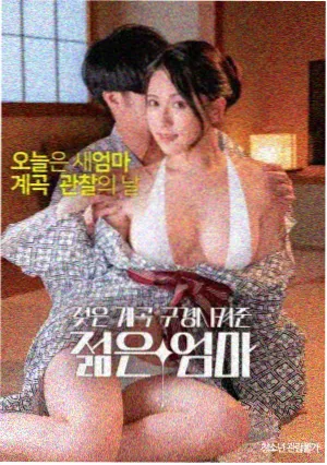 类型占比示意一
